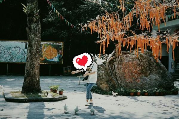 她是鲁迅发妻,却独守空闺一生,晚年说出一句怨言,令人心酸