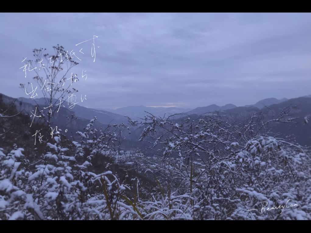 阴暗森林